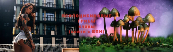 дмт Гусь-Хрустальный