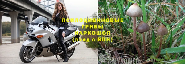 Альфа ПВП Горнозаводск