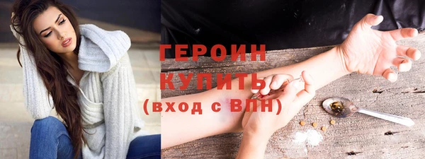 ПСИЛОЦИБИНОВЫЕ ГРИБЫ Горно-Алтайск